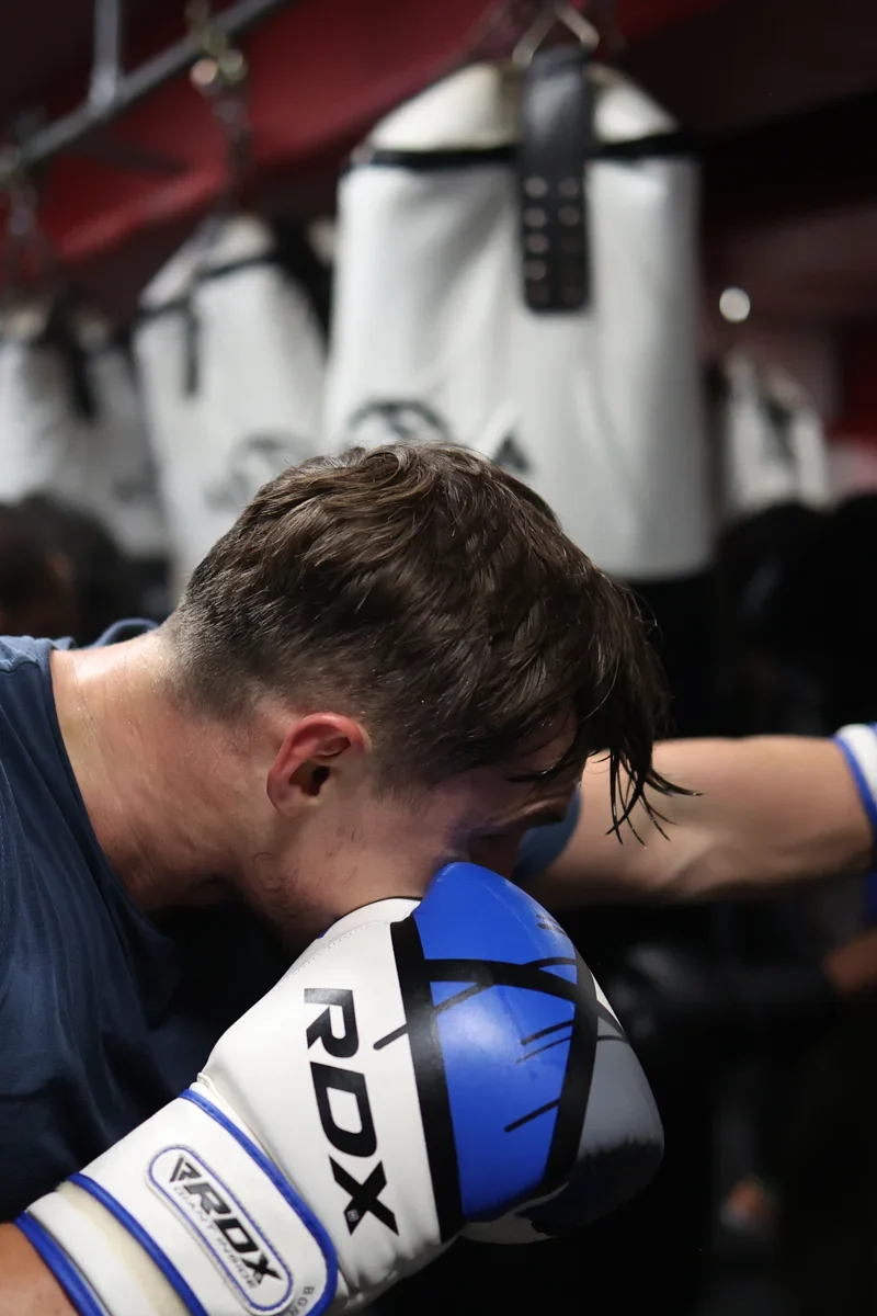 Beginner Boxer Punching Bag